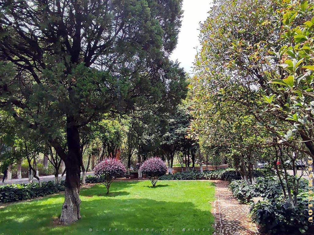 Kunming - Universite du Yunnan (41).jpg
